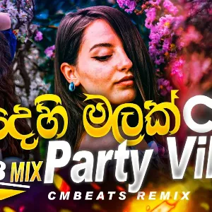 Dehi Malak (Party Vibes CMBeats Remix) mp3 Download