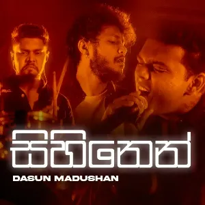 Sihinen Cover mp3 Download