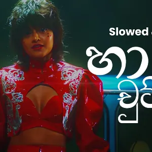 Ha Chuttak (Slowed & Reverb) mp3 Download