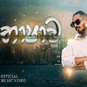 Bashawa mp3 Download