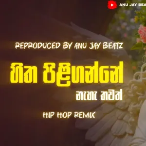 Hitha Piliganne Naha Thawath (HipHop ReMix) mp3 Download